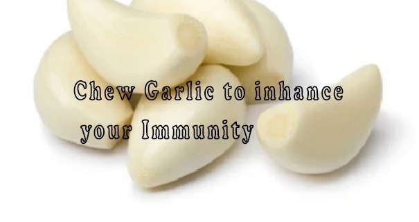 garlik lasun home remedies immunity boosters